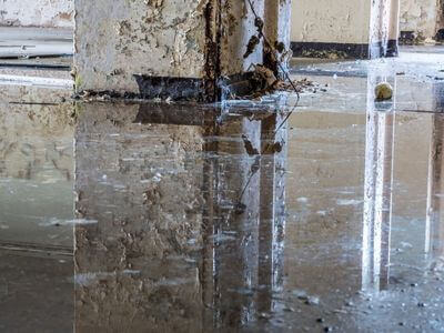 About PrimeNest Recovery - water damage restoration experts in Jersey City